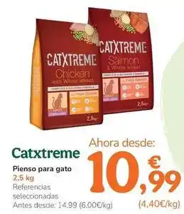 TiendAnimal Catxtreme - pienso para gato oferta