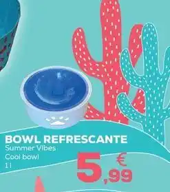 Kiwoko Bowl refrescante oferta