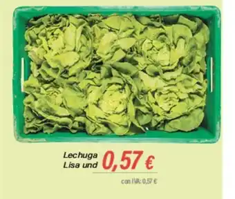 Cash Ifa Lechuga Lisa und oferta