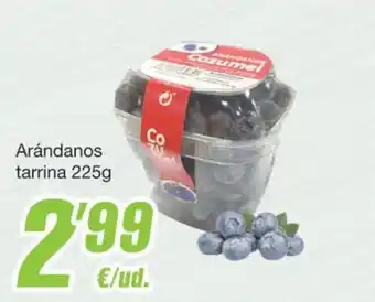 SPAR Fragadis Arándanos tarrina 225g oferta