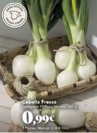 Gadis Cebolla Fresca oferta