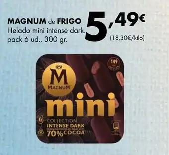 Supermercados Lupa MAGNUM de FRIGO oferta