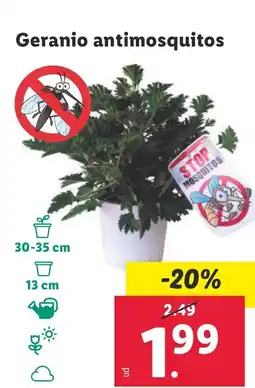 Lidl Geranio antimosquitos oferta