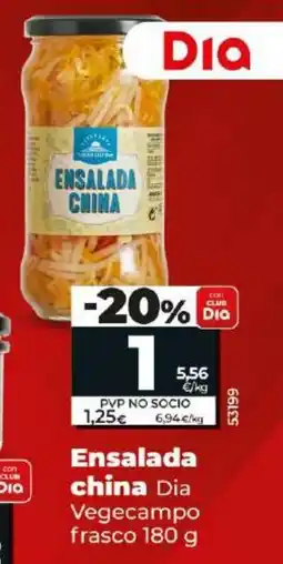Maxi Dia Ensalada china oferta