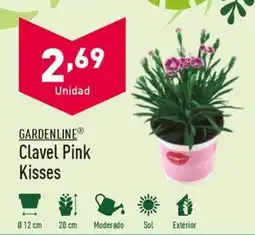 ALDI GARDENLINE® Clavel Pink Kisses oferta