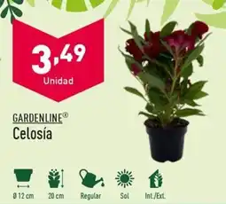 ALDI GARDENLINE® Celosía oferta