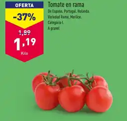 ALDI Tomate en rama oferta