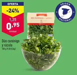 ALDI Dúo canónigo y rúcula oferta
