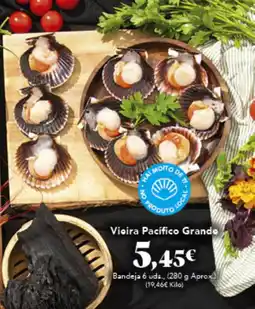 Gadis Vieira Pacífico Grande oferta