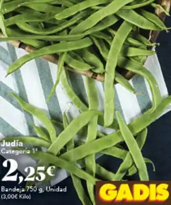Gadis Judía oferta