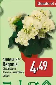 Carrefour Carrefour - aceite de oliva 04º o 1º classic oferta