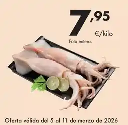 BricoCentro Xylazel - carcomas plus oferta