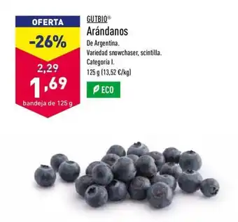 ALDI Gutbio Arándanos 125g oferta