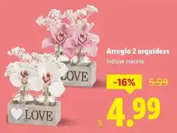 E.Leclerc Cordero chilindrón oferta
