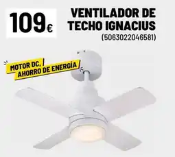 Brico Depôt VENTILADOR DE TECHO IGNACIUS oferta