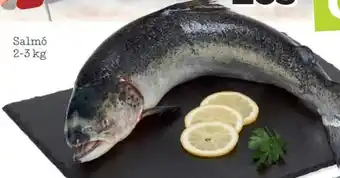 Sorli Salmó oferta