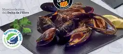Sorli Musclos de roca del Delta de l'Ebre oferta