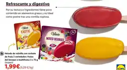 Lidl Gelatelli - helados de vainilla con sorbete de fruta oferta