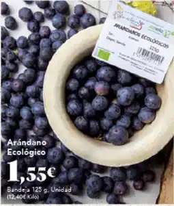 Gadis Arándano Ecológico oferta