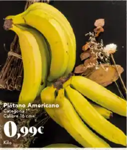 Gadis Plátano Americano oferta