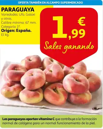 Alcampo PARAGUAYA oferta