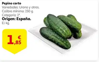 Alcampo Pepino corto oferta