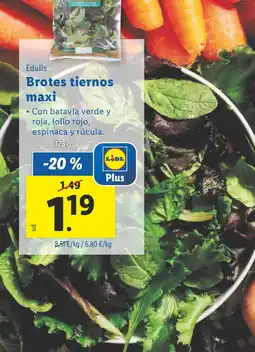Lidl Brotes tiernos maxi oferta