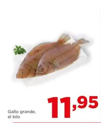 Alimerka Gallo grande, el kilo oferta