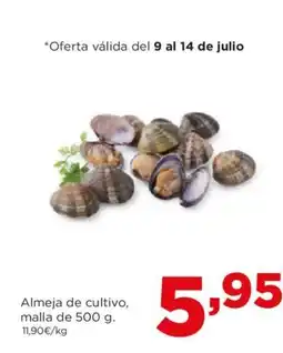 Alimerka Almeja de cultivo, malla de 500 g. oferta