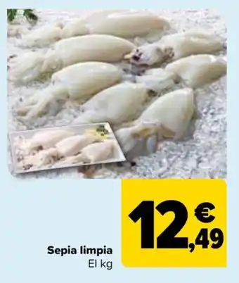 Carrefour Sepia limpia oferta