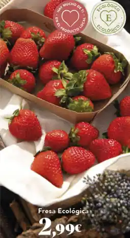 Gadis Fresa Ecológica oferta