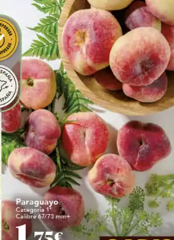 Gadis Paraguayo oferta