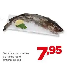 Alimerka Bacalao de crianza, por medios o entero, el kilo oferta