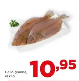 Alimerka Gallo grande, el kilo oferta