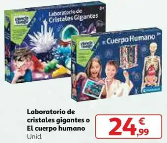 Alcampo Laboratorio de cristales gigantes o el cuerpo humano oferta
