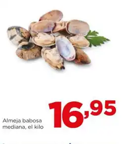 Alimerka Almeja babosa mediana, el kilo oferta