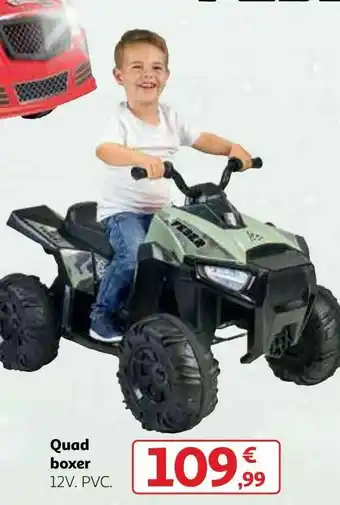 Alcampo Quad boxer oferta