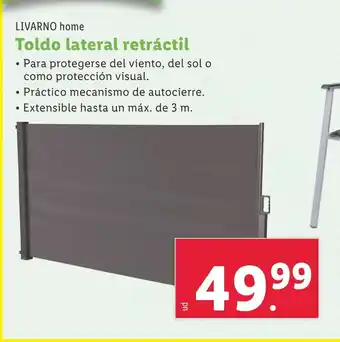 Lidl Toldo lateral retráctil oferta