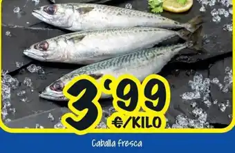 Cash Fresh Caballa fresca oferta