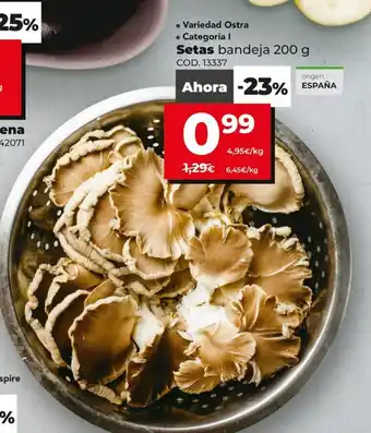 Dia Setas bandeja 200g oferta