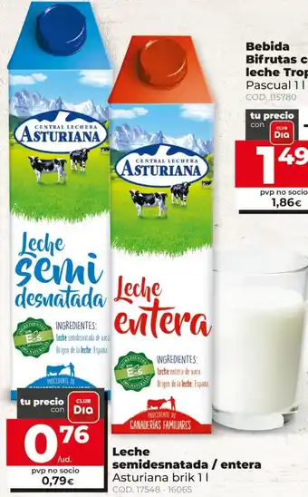 Dia Leche Semidesnatada/entere Arturiana brik 1L oferta