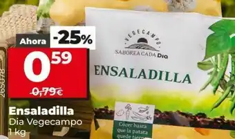 Ensaladilla rusa dia