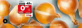 Cebollas dia