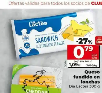 Dia Queso fundido en lonchas dia 300 g oferta