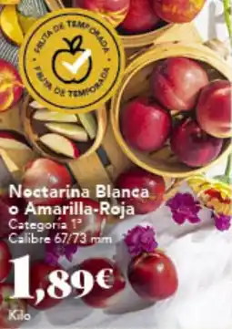 Gadis Nectarina Blanca o Amarilla-Roja oferta