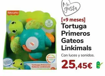 Carrefour Tortuga primeros gateos linkimals oferta
