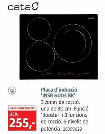 Placa de inducción
