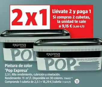 Roca Pintura expresa oferta
