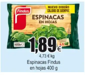 FROIZ Findus Espinacas en hojas 400g oferta