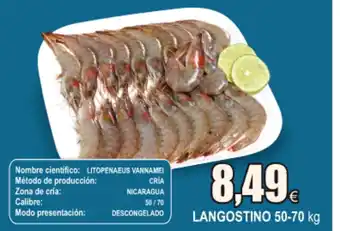 FROIZ Langostino 50-70kg oferta